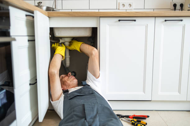 Best Septic Systems  in Dillon, MT